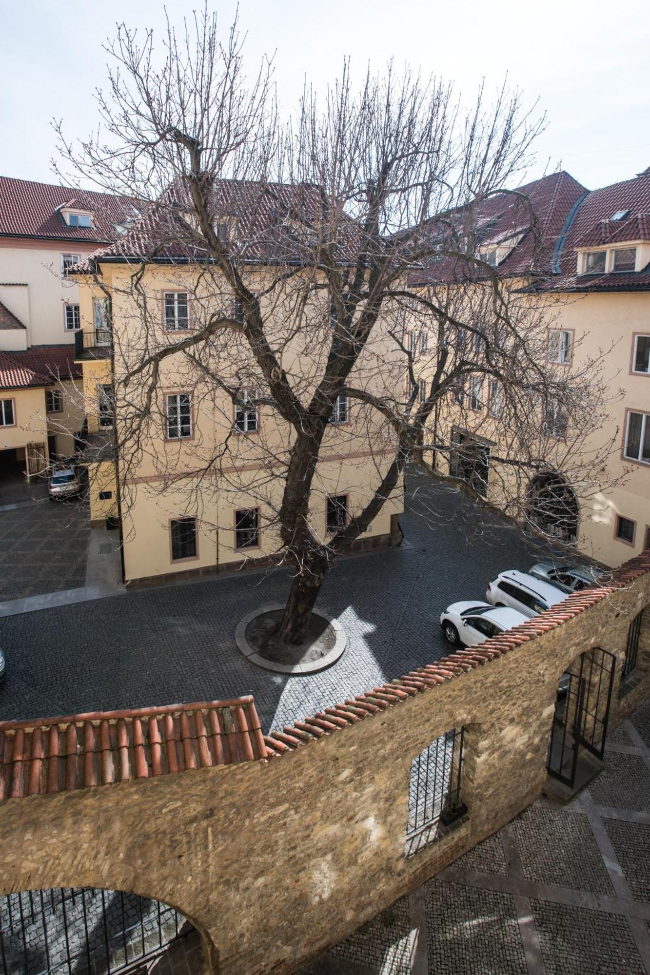 Opitzuv Dum — Photos 2